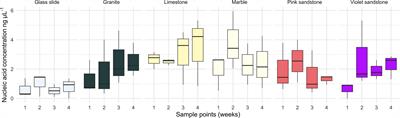 Bacterial biofilm colonization and succession in tropical marine waters are similar across different types of stone materials used in seawall construction